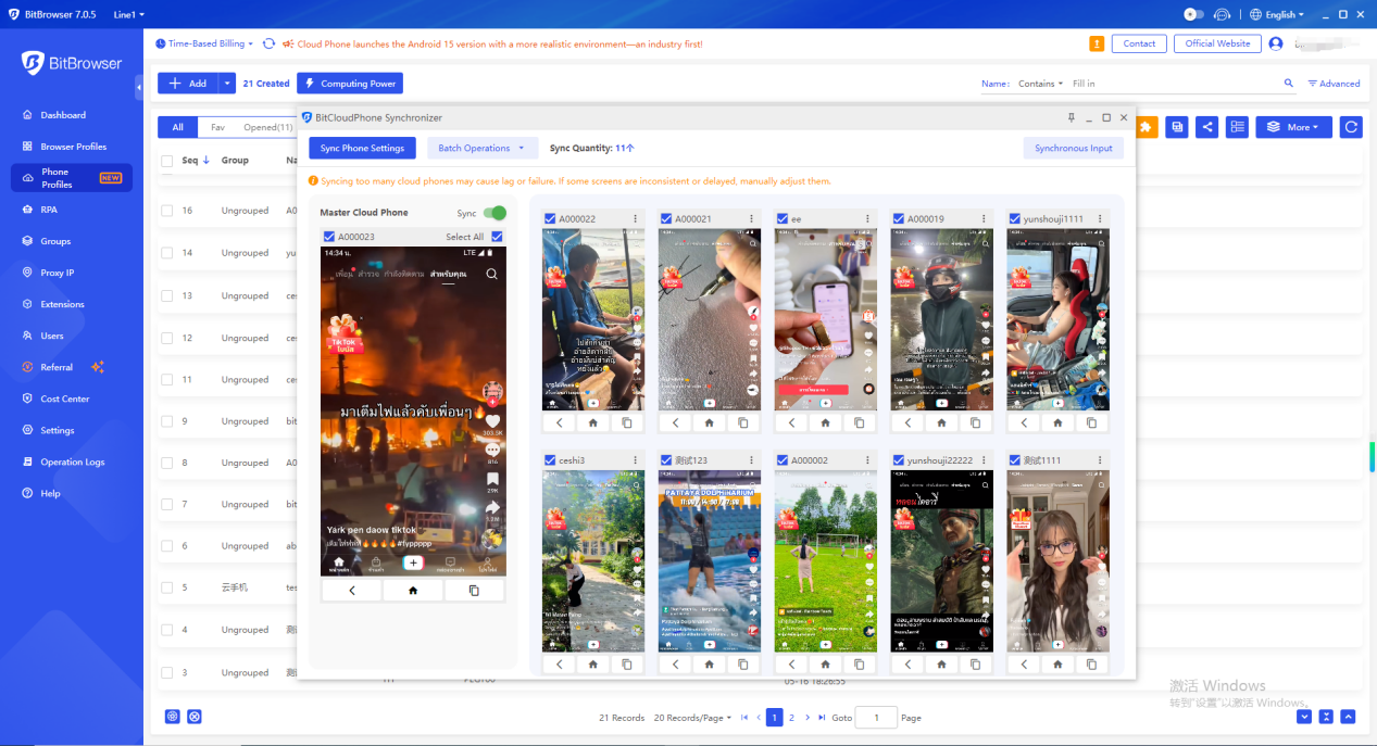 BitBrowser batch operation across many profiles